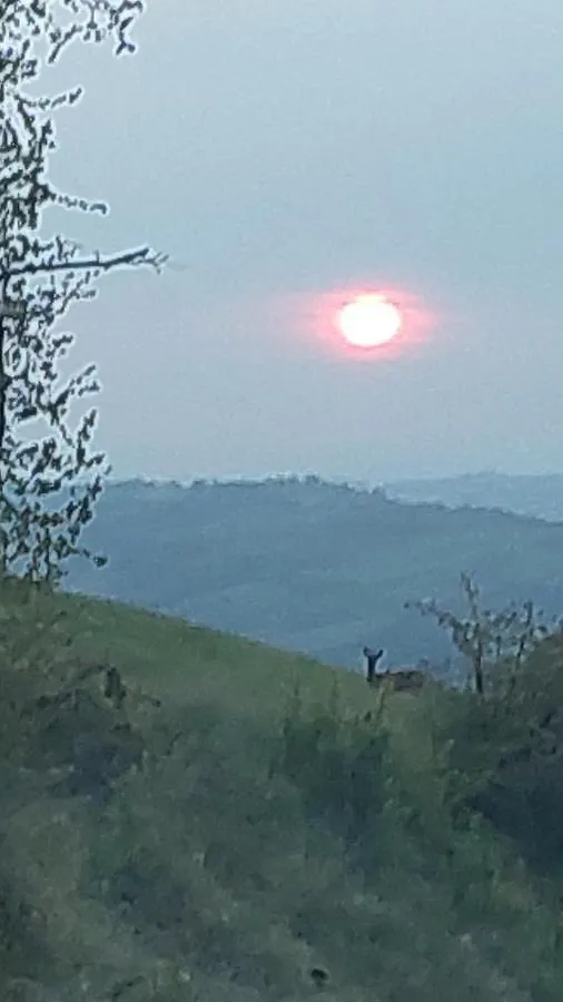 Gasthof La Locanda Dei Cavalieri Affittacamere Lugagnano Val d'Arda Italien